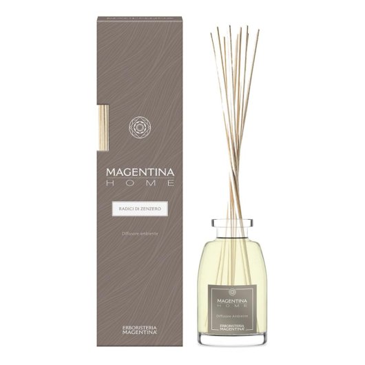 MH RADICI ZENZERO DIFF 250ML