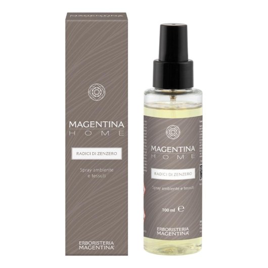 MH RADICI ZENZERO SPRAY100ML