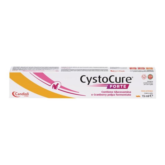 CYSTOCURE FORTE PASTA 15ML