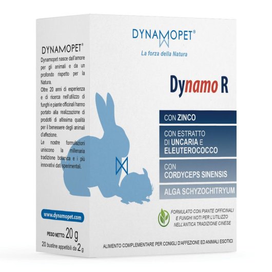 DYNAMO R 20BUST 2G