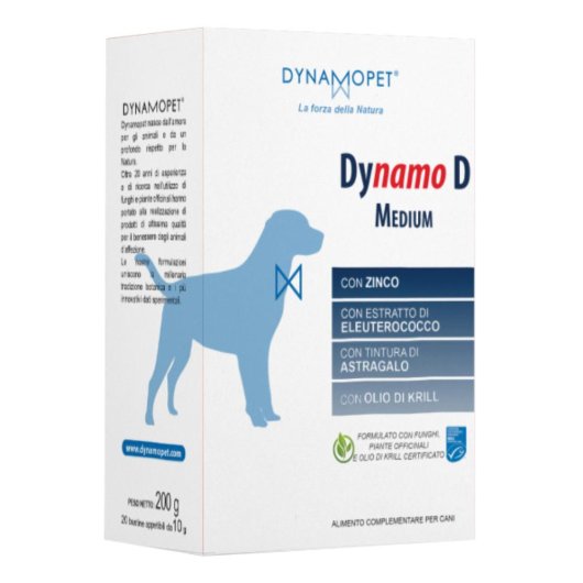 DYNAMO D MEDIUM 20BUST