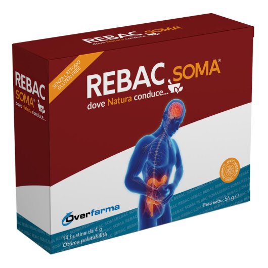 REBAC SOMA 14BUST