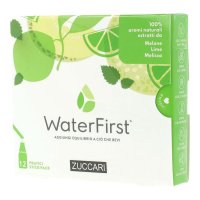 WaterFirst Melone Lime Melissa - Zuccari - 12 stick-pack - Aromatizzatore per acqua con veri aromi estratti da fiori, frutta e piante