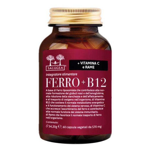 FERRO+B12 SALUGEA 60CPS