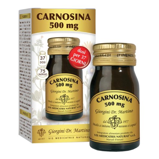 CARNOSINA 500MG 30G 75PAST CARNOSINA 500MG 30G 75PAST