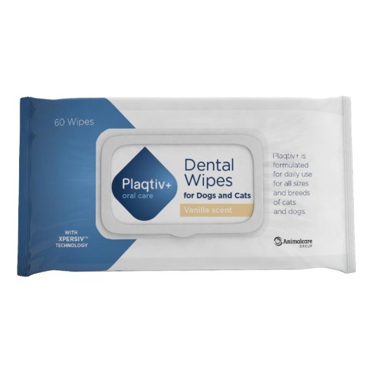 PLAQTIV+ ORAL CARE64SALVDENT