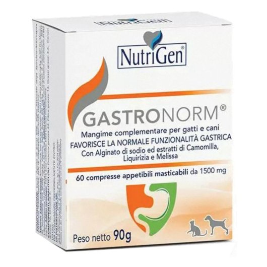 V GASTRONORM 32CPR