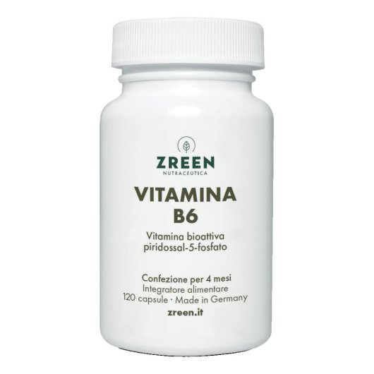 ZREEN VITAMINA B6 120CPS ZREEN VITAMINA B6 120CPS