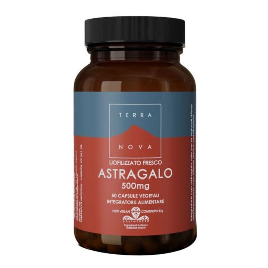 TERRANOVA ASTRAGALO 50CPS