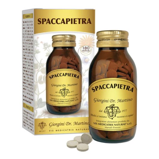 SPACCAPIETRA 180PAST N/F GIORGIN