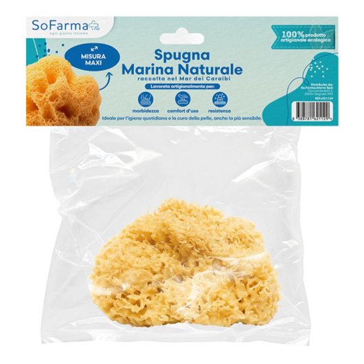 SPUGNA MARINA NATURALE MAXI SF+