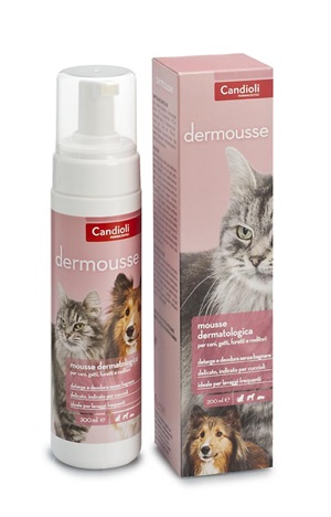 DERMOUSSE MOUSSE DET 200ML img 2