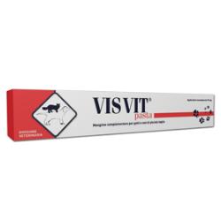 VISVIT PASTA OS SIRINGA 15G