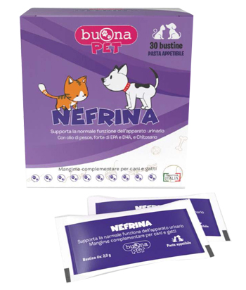 NEFRINA 30BUST img 2